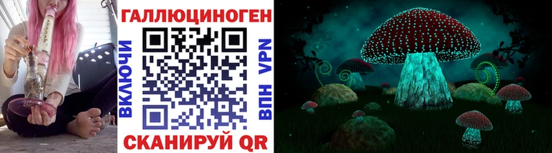 Псилоцибиновые грибы Psilocybe Микунь